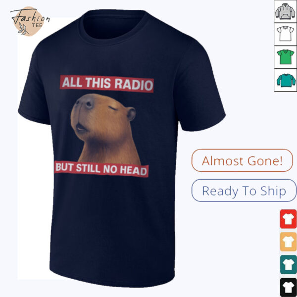All This Radio But Still No Head Capybara Parody T Shirt