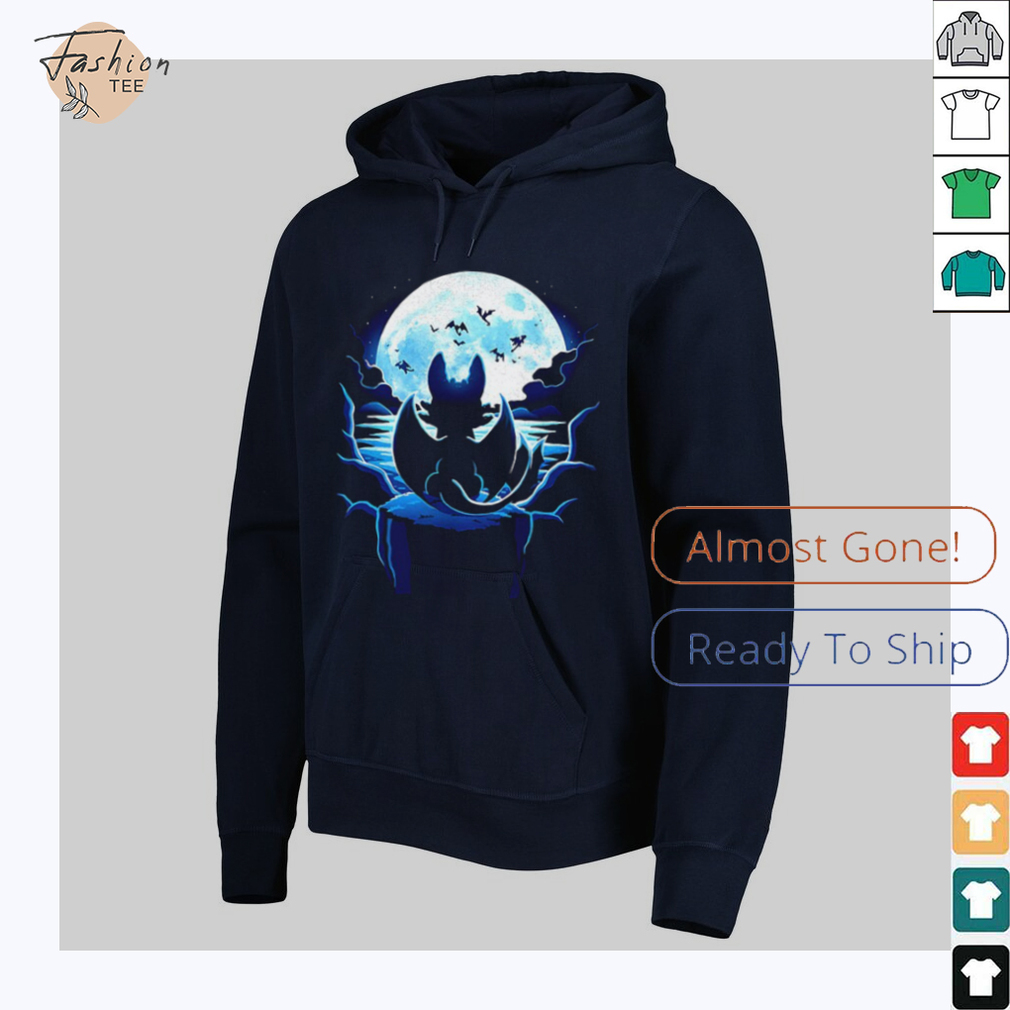 Toothless How to Train Your Dragon Dragon Land shirt Toothless How to Train Your Dragon Dragon Land shirt