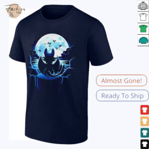 Toothless How to Train Your Dragon Dragon Land shirt