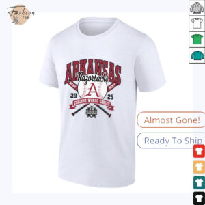 Arkansas Razorbacks College World Series 2025 Baseball Gray Long Sleeve T Shirt