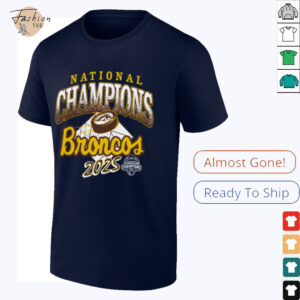 Official Western Michigan Broncos Brown 2025 National Men’s Hockey Champions T Shirt