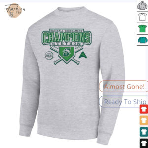 Stetson Hatters baseball Tournament Champions 2025 shirt