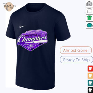 Wisconsin Whitewater Warhawks Softball NCAA Division III 2025 Champions shirt